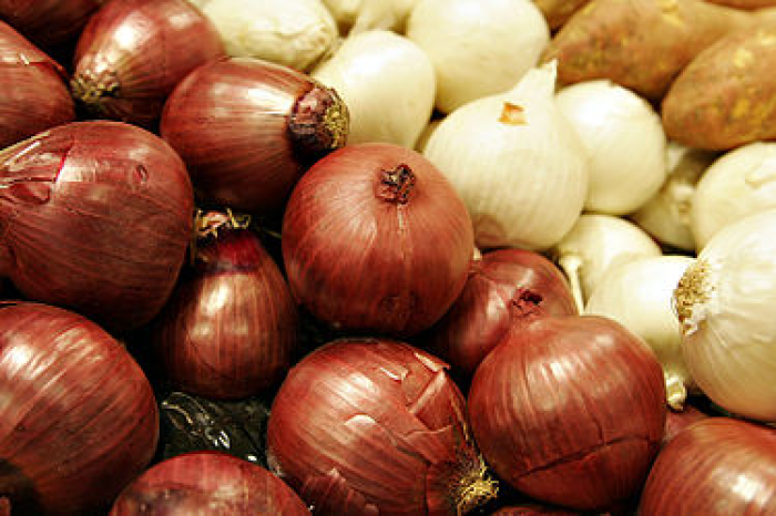 archivo375px-Two_colors_of_onions.jpg
